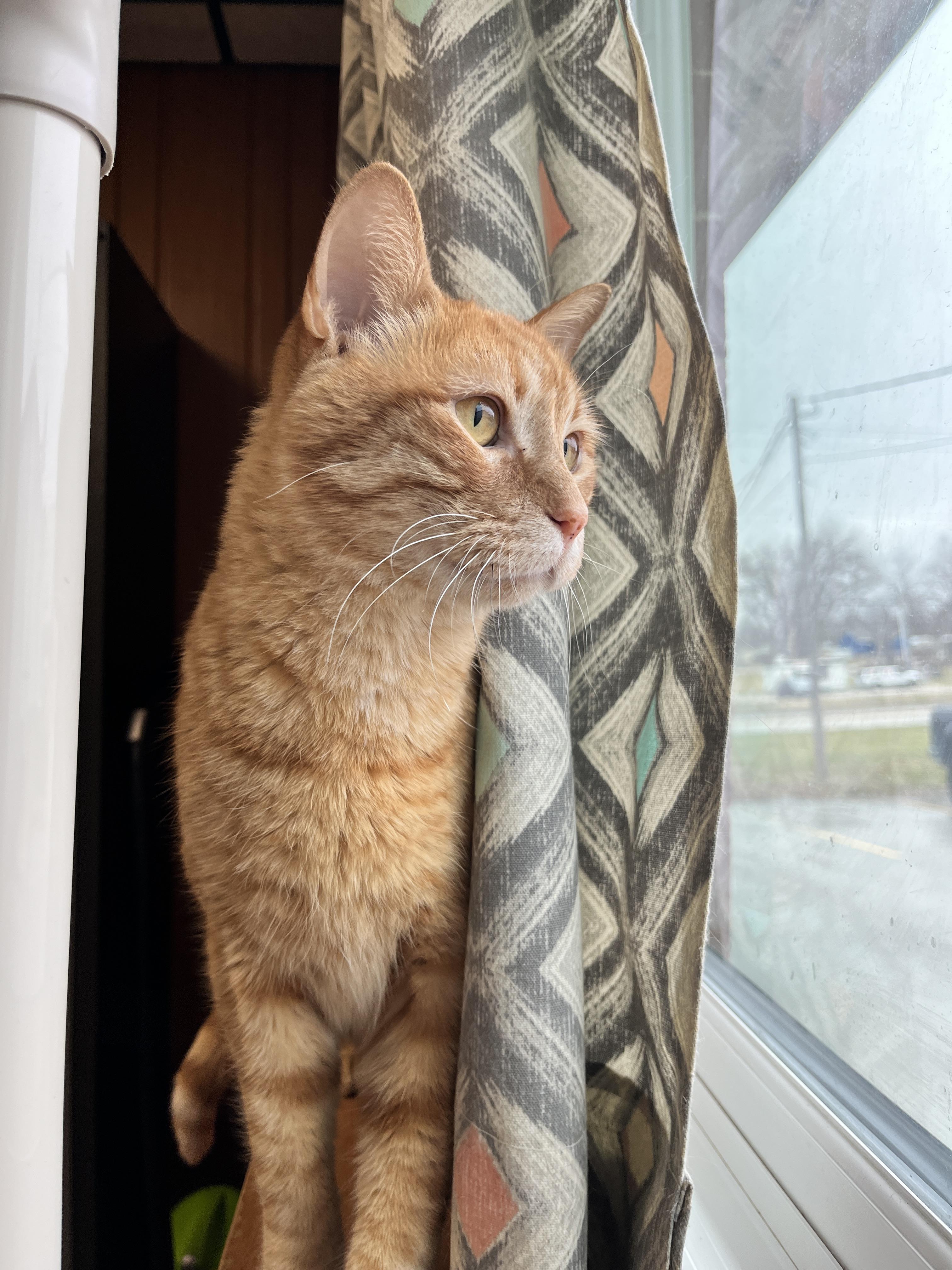 Templeton
