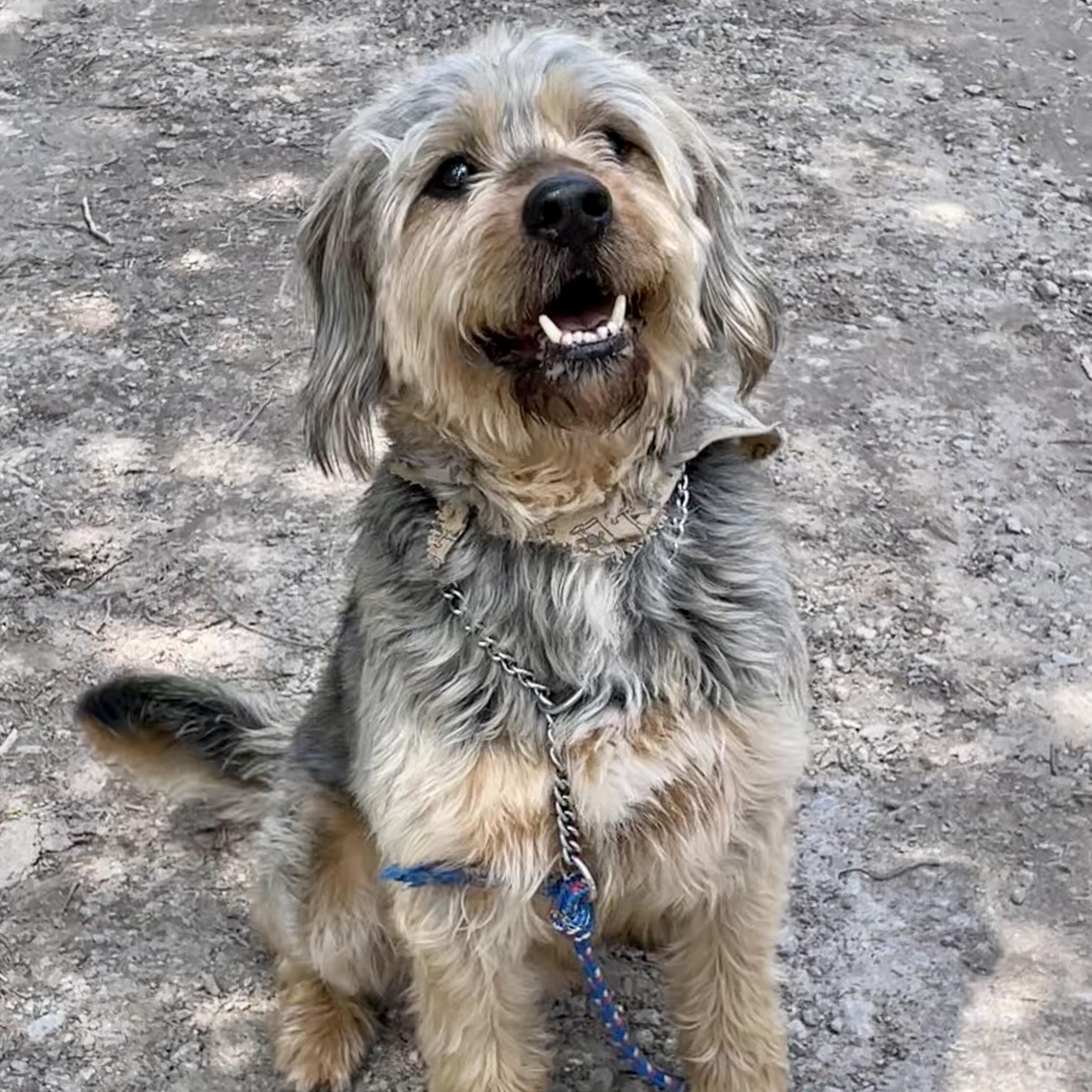 Tank — thumbnail 2