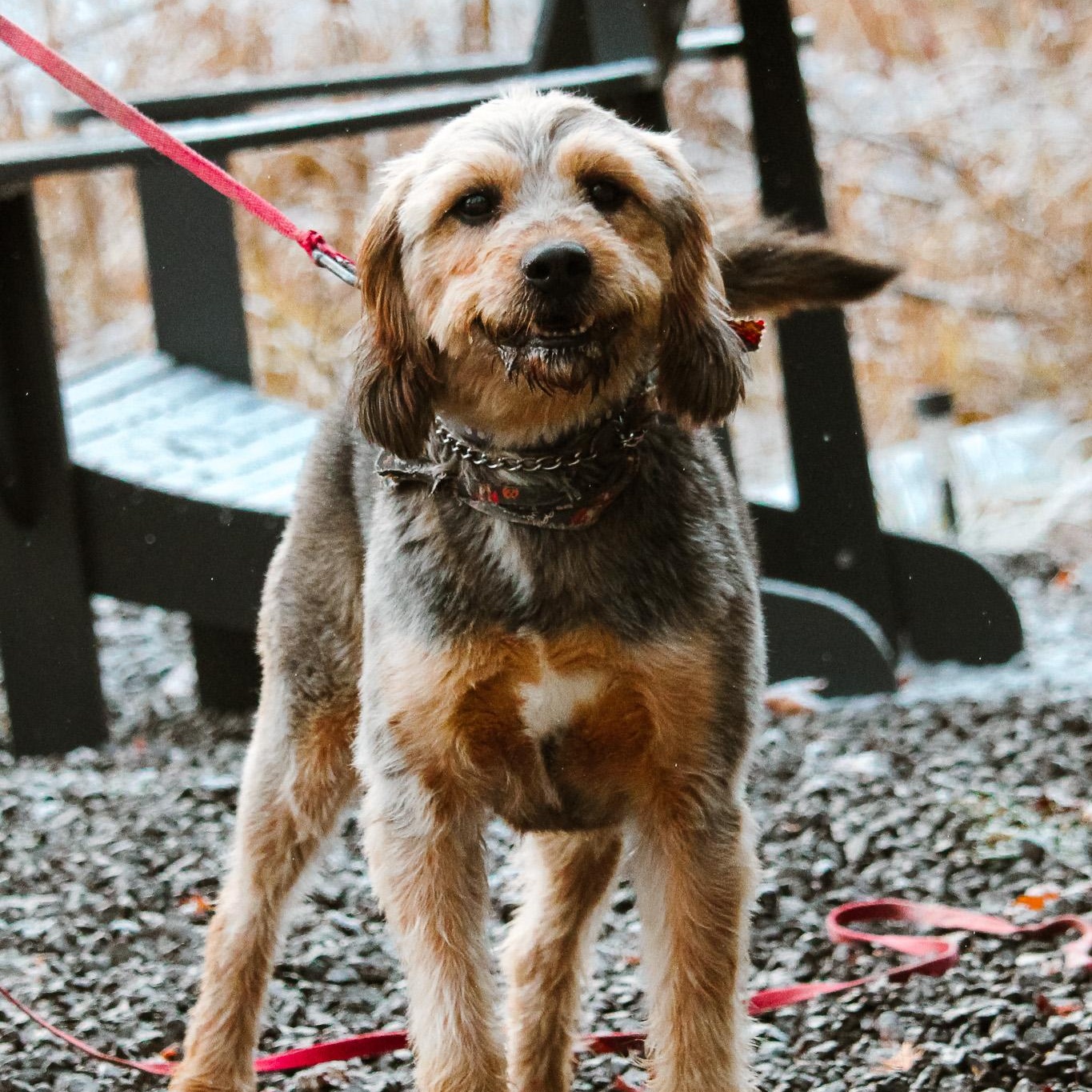 Tank — thumbnail 4