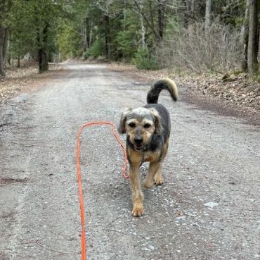 Tank — thumbnail 5