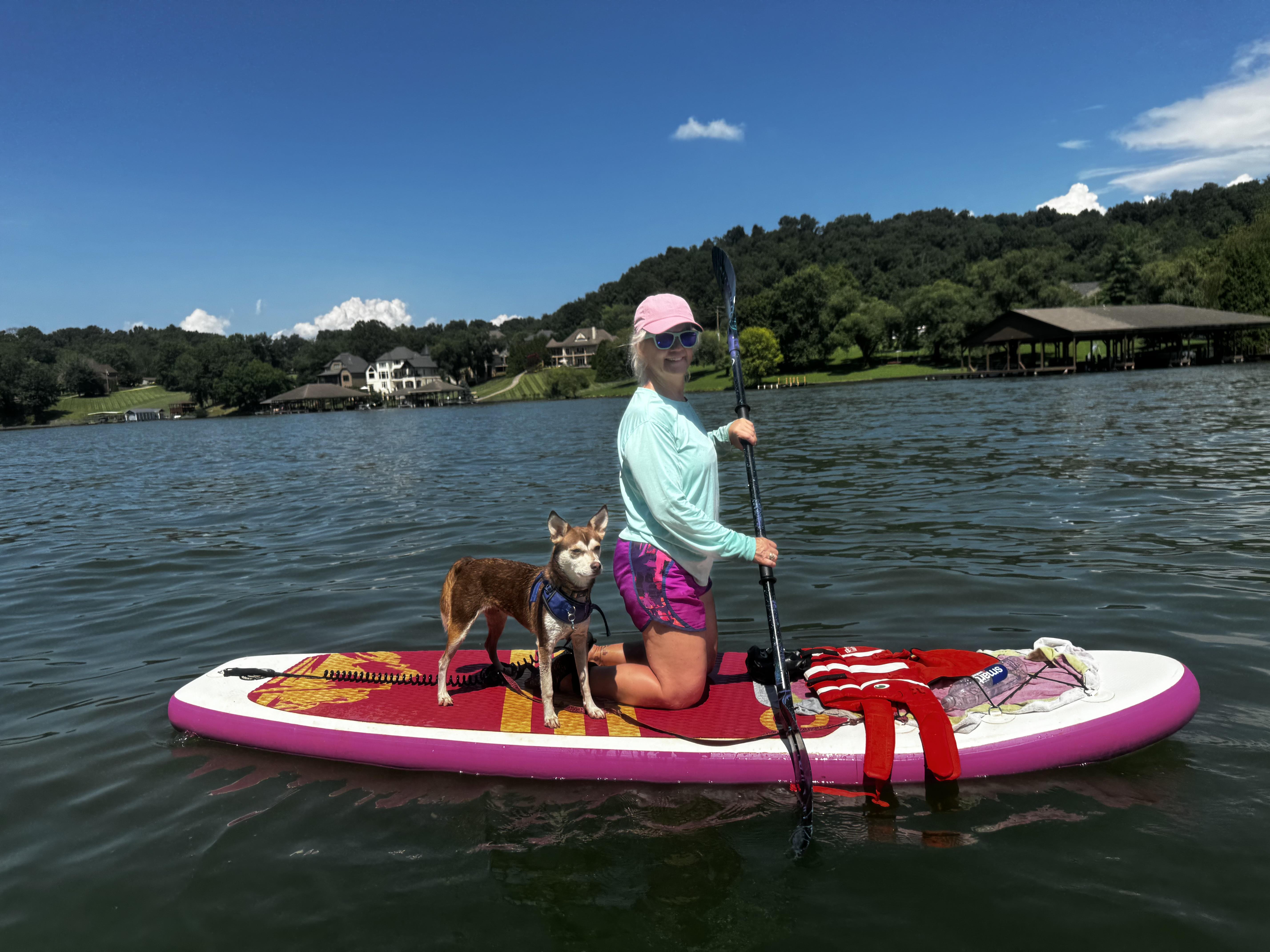 Sweet Pea, a Adoptable mixed breed in Sherman, CT image 3/6