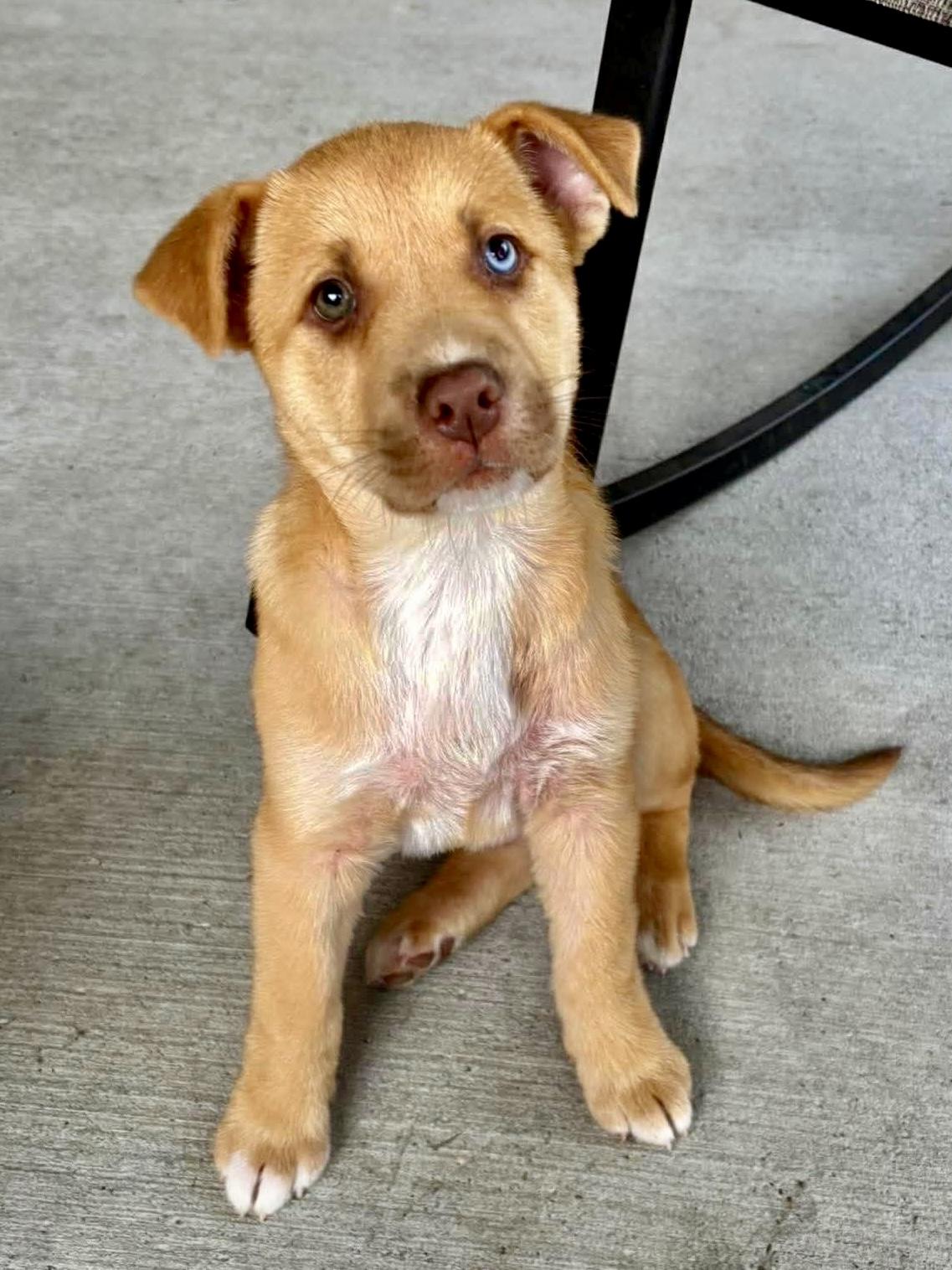 Oddie — thumbnail 2