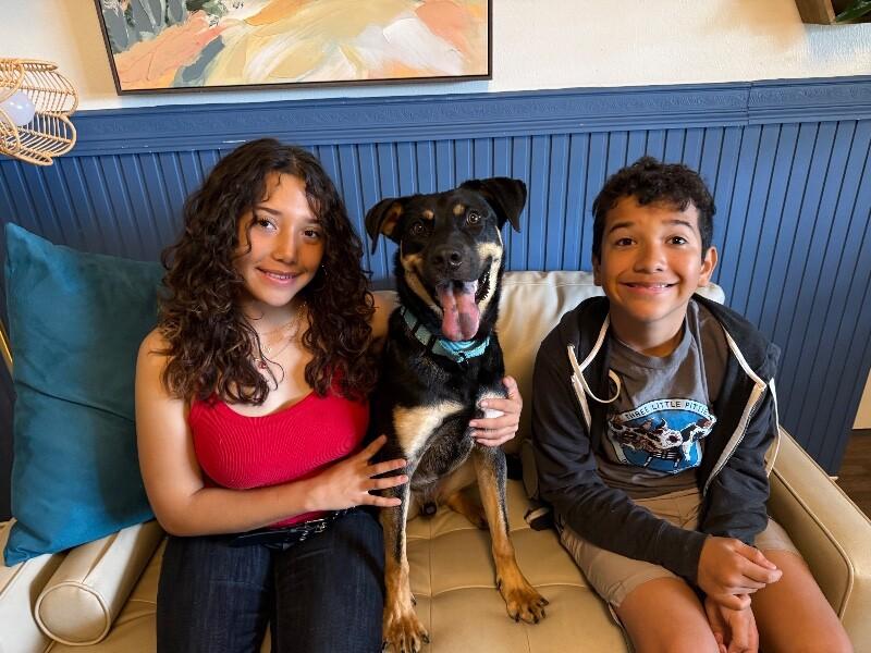 Dobbie Boy the ultimate Pawsome buddy — thumbnail 3