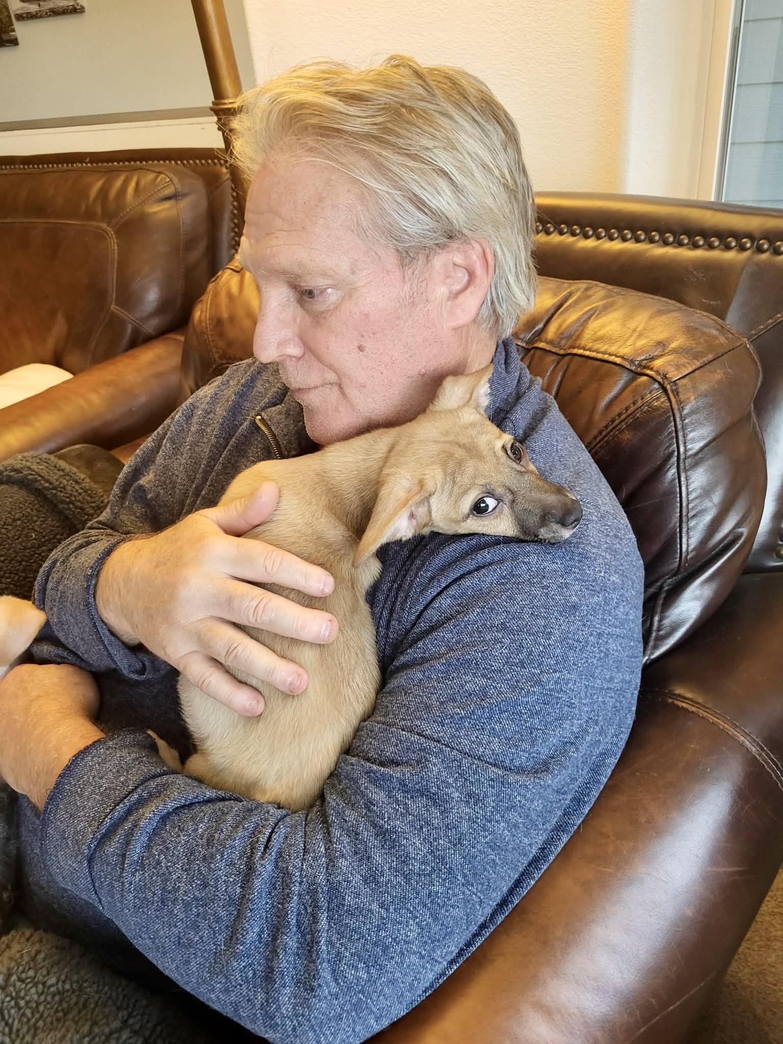 Enlarge Ricky Martin, a ADOPTABLE mixed breed in Roseburg, OR image 5/6