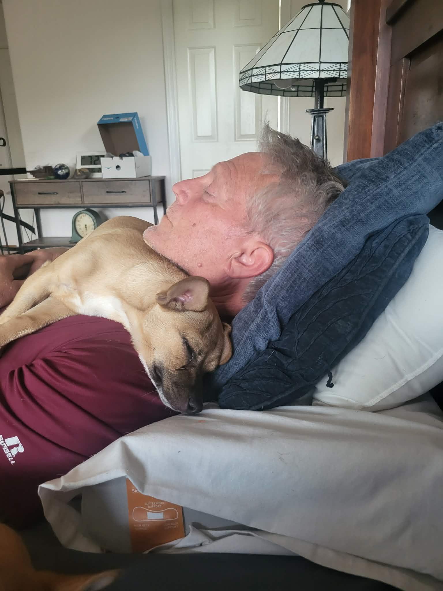 Enlarge Ricky Martin, a ADOPTABLE mixed breed in Roseburg, OR image 3/6