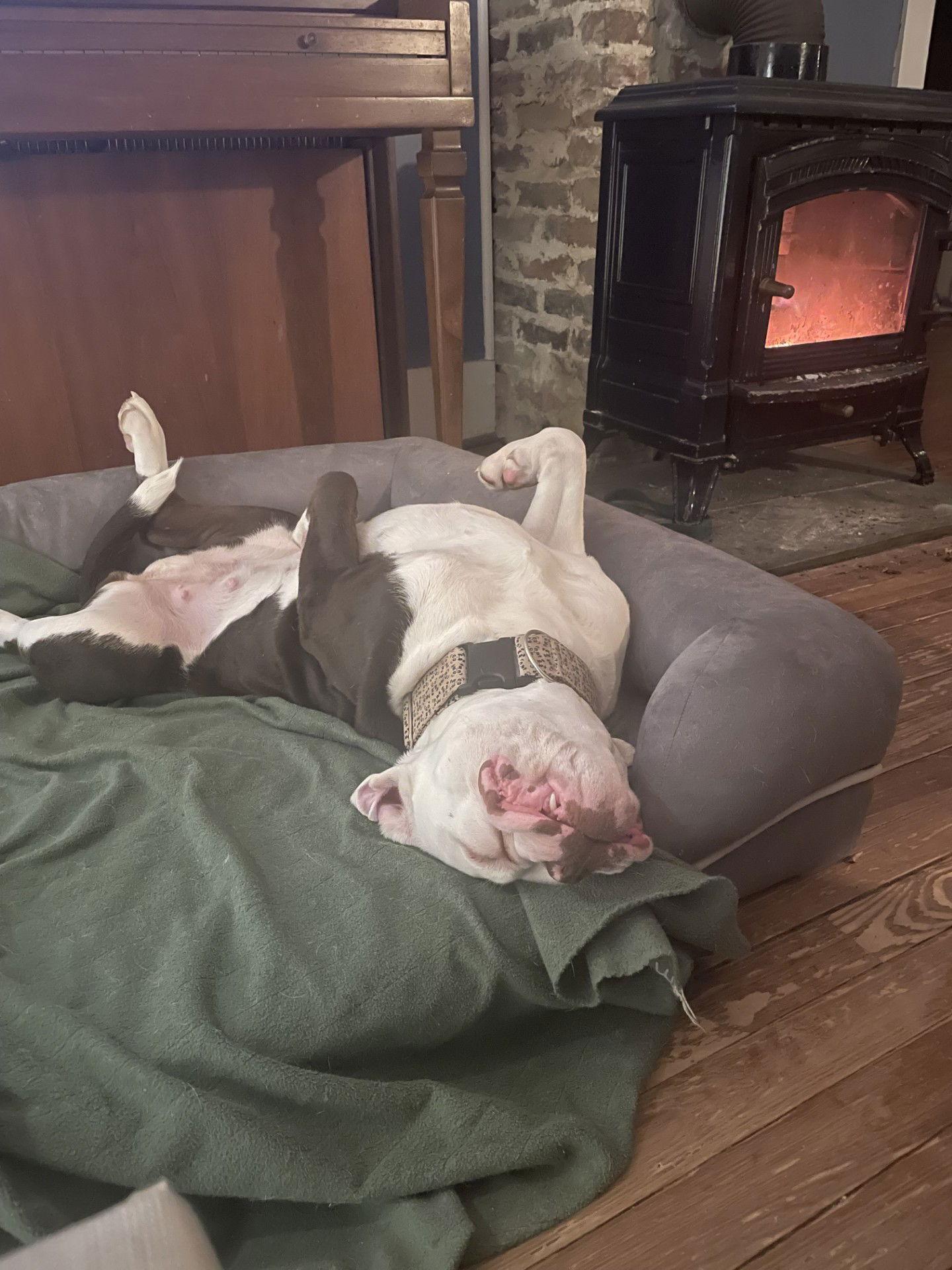 Spaghetti thumbnail 3