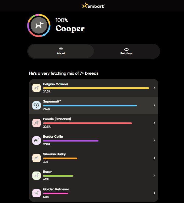 Dakota, a Adoptable mixed breed in Chico, CA image 4/6