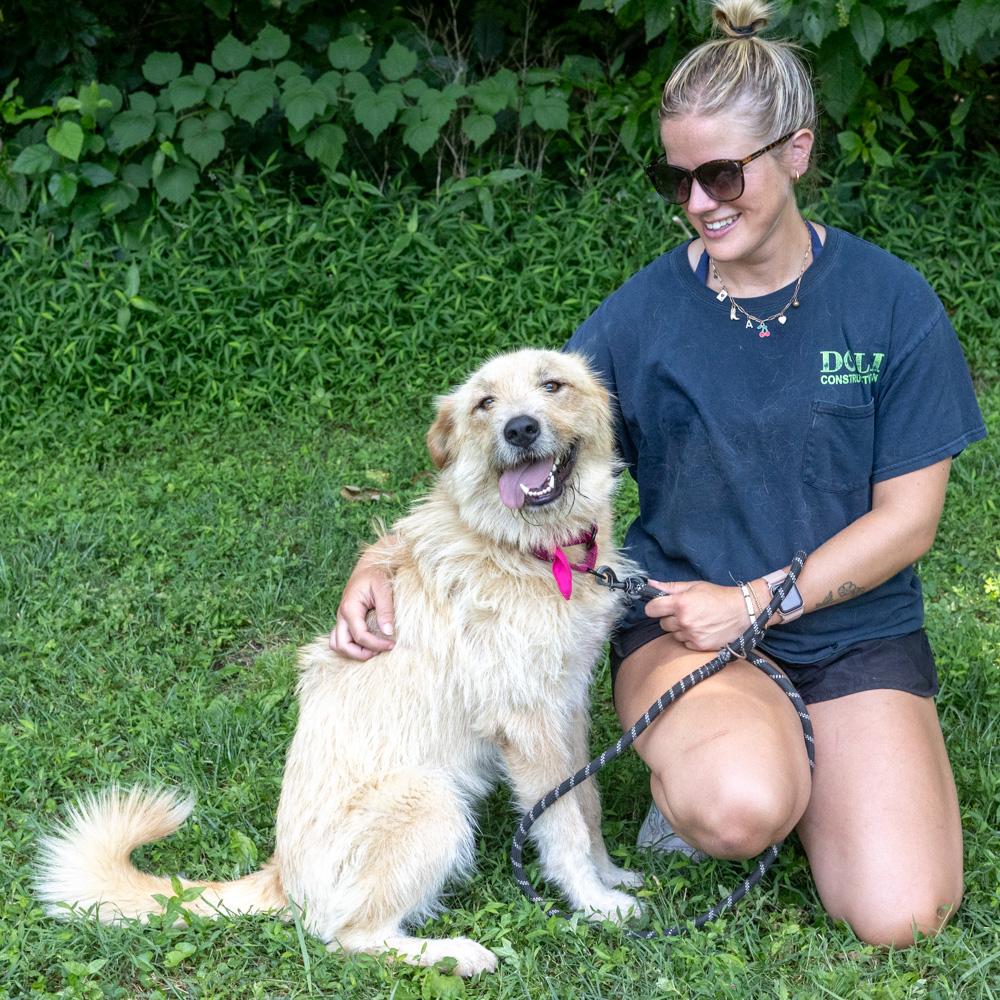 Skye (Female), an adopted mixed breed in West Grove, PA image 5/6