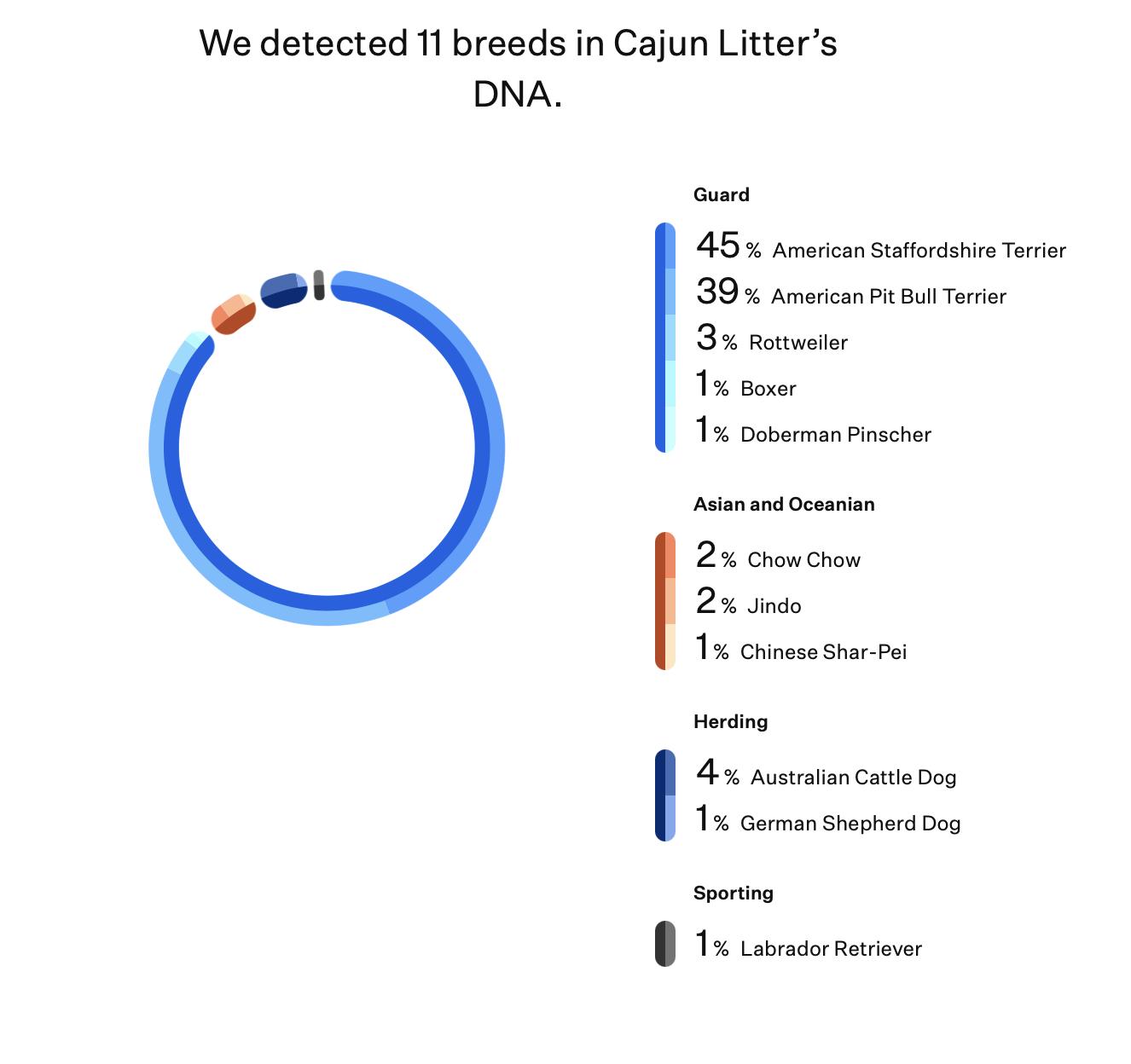 Freyja (HOME to HOME), a ADOPTABLE mixed breed in Silvana, WA image 6/6