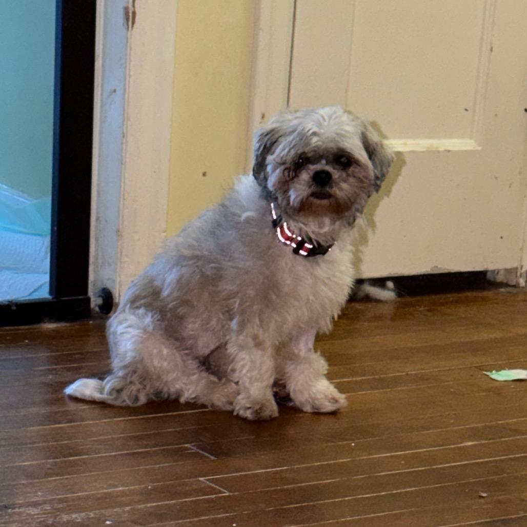 Rosemary — thumbnail 2