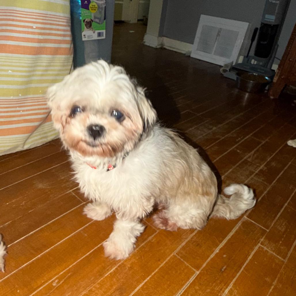 Rosemary — thumbnail 3