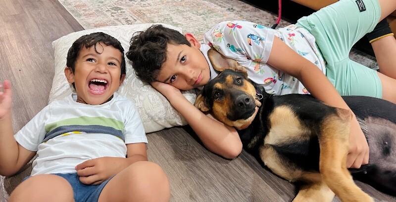 Enlarge Jennie Ruby Jane, a Adoptable mixed breed in Friendswood, TX image 1/2