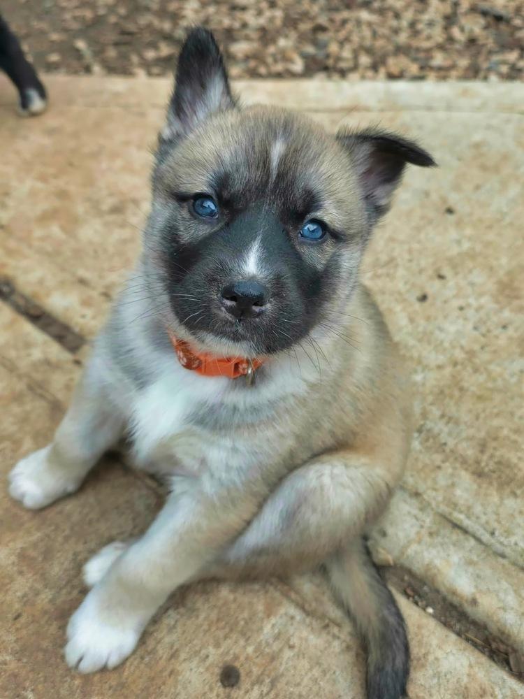 Cygi — thumbnail 4