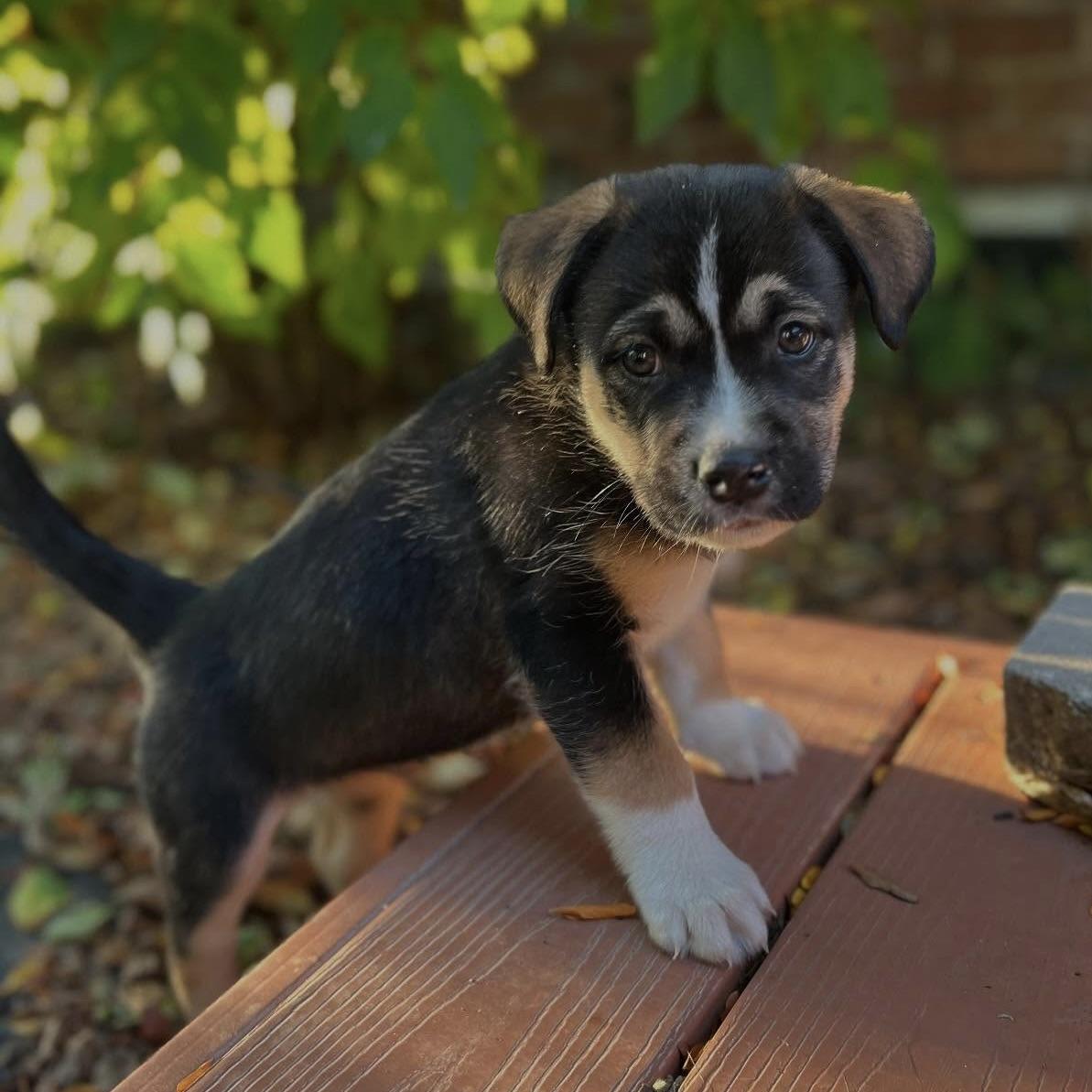 Little Chance (20251023-02)