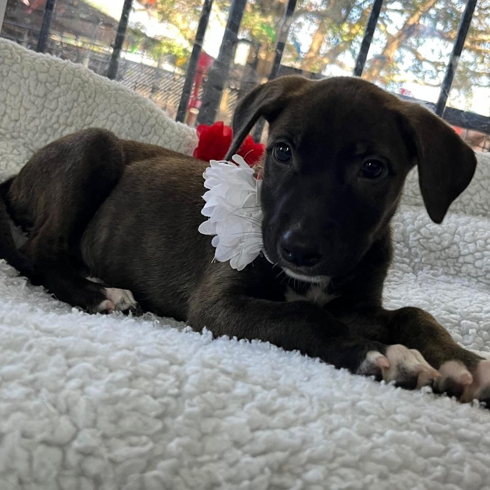 Emma — thumbnail 4