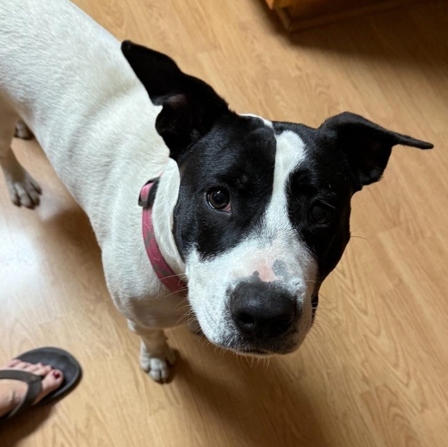 Gigi — thumbnail 5