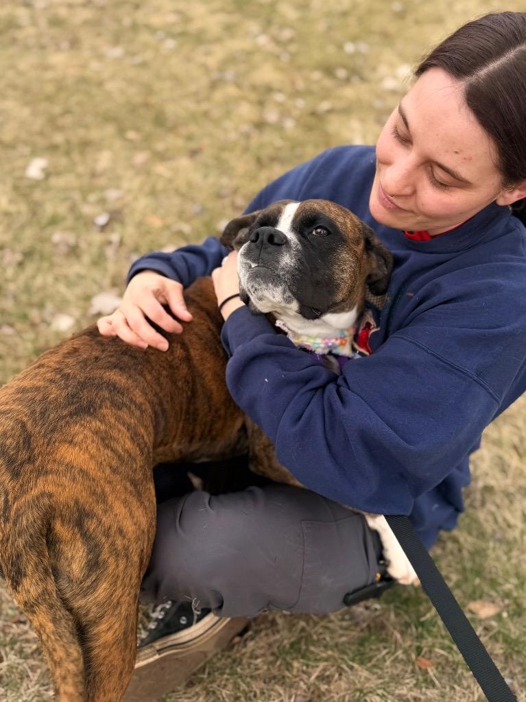 Enlarge Georgia, a Adoptable mixed breed in Menomonie, WI image 4/6