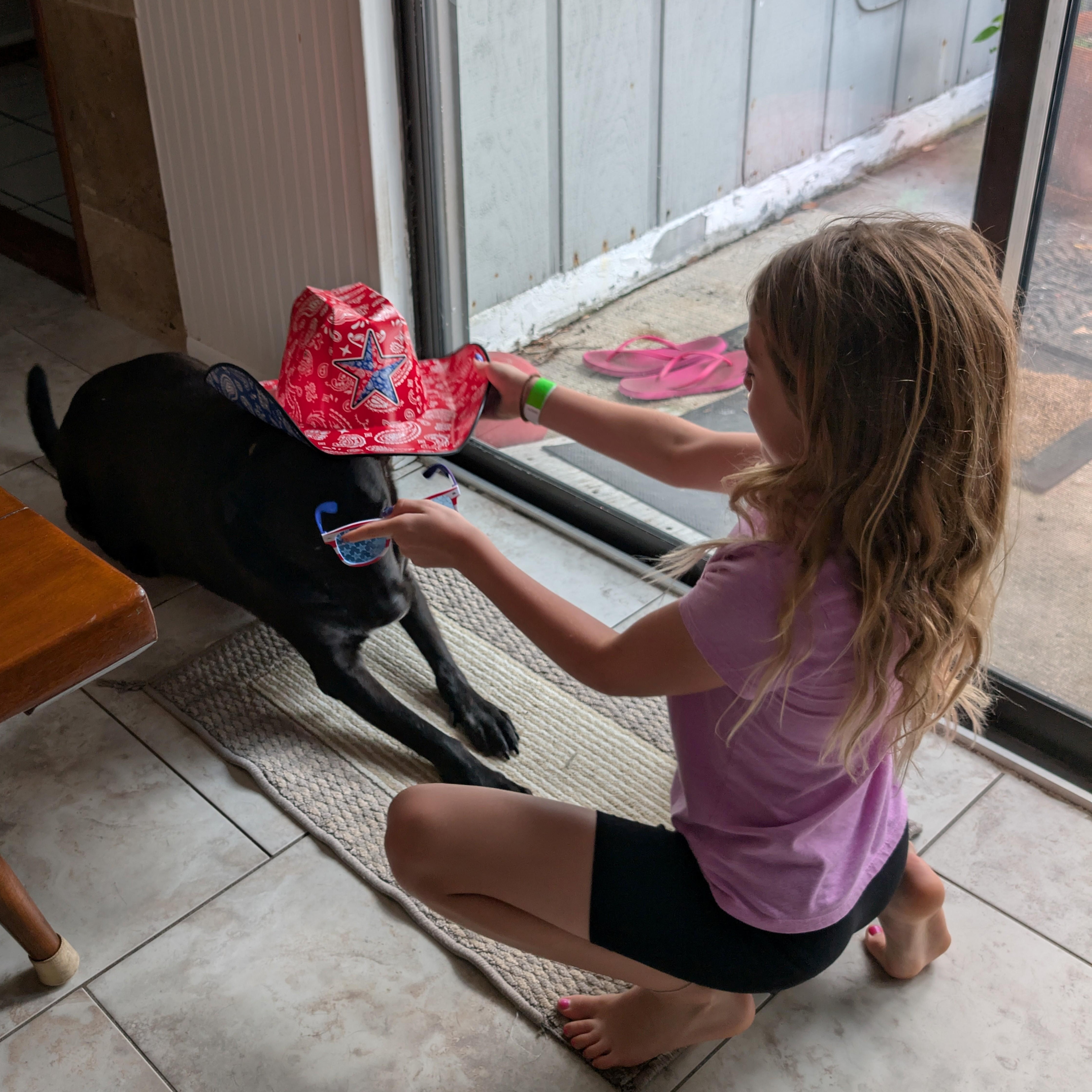 BEAU, a Adoptable mixed breed in Bradenton, FL image 3/5