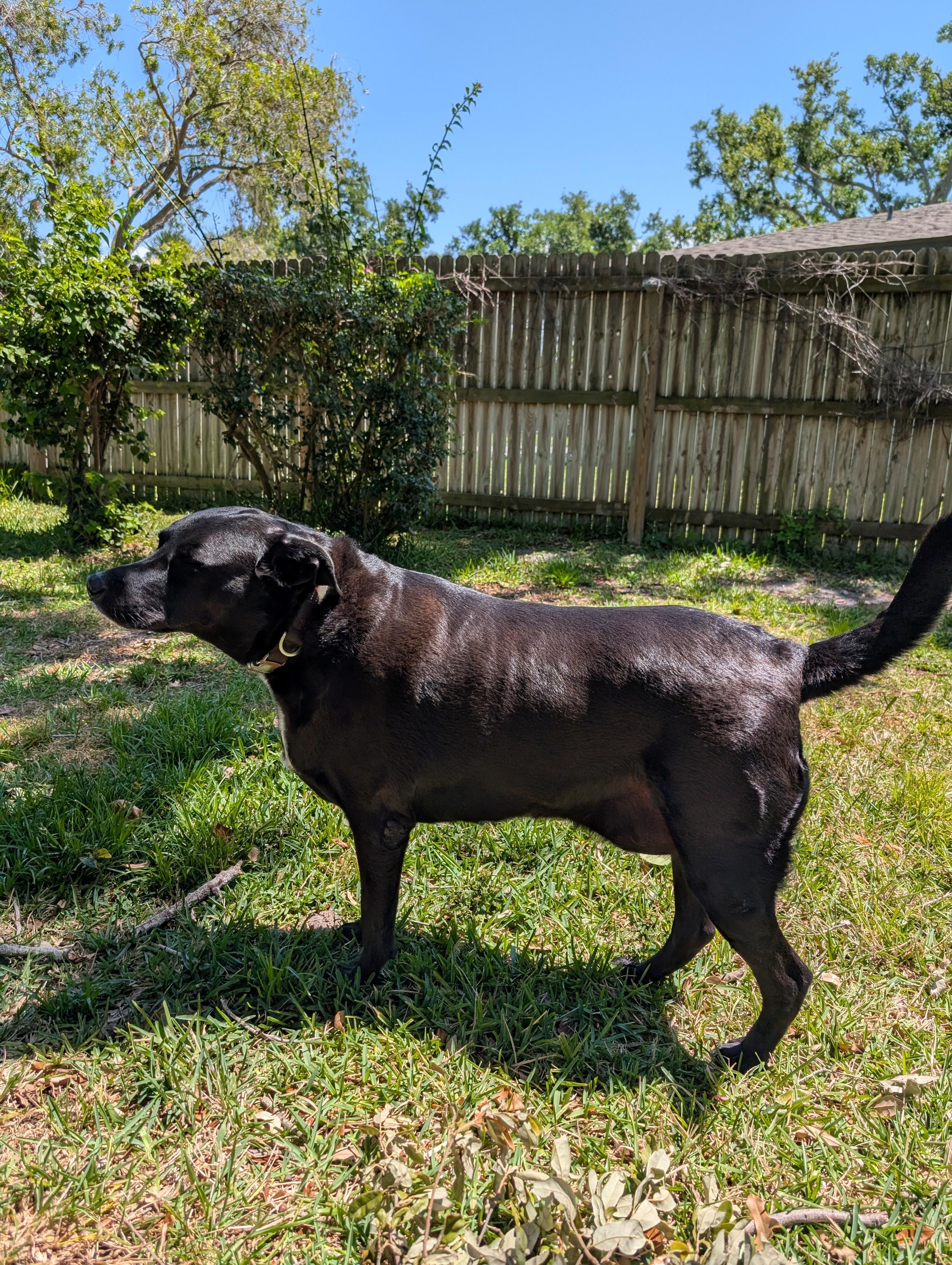 BEAU