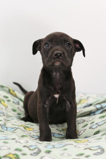 Eugene — thumbnail 4