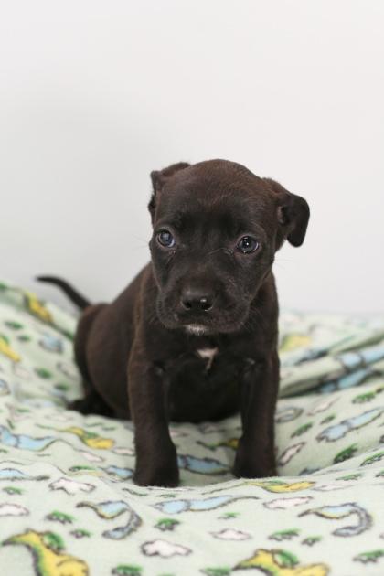 Eugene — thumbnail 6