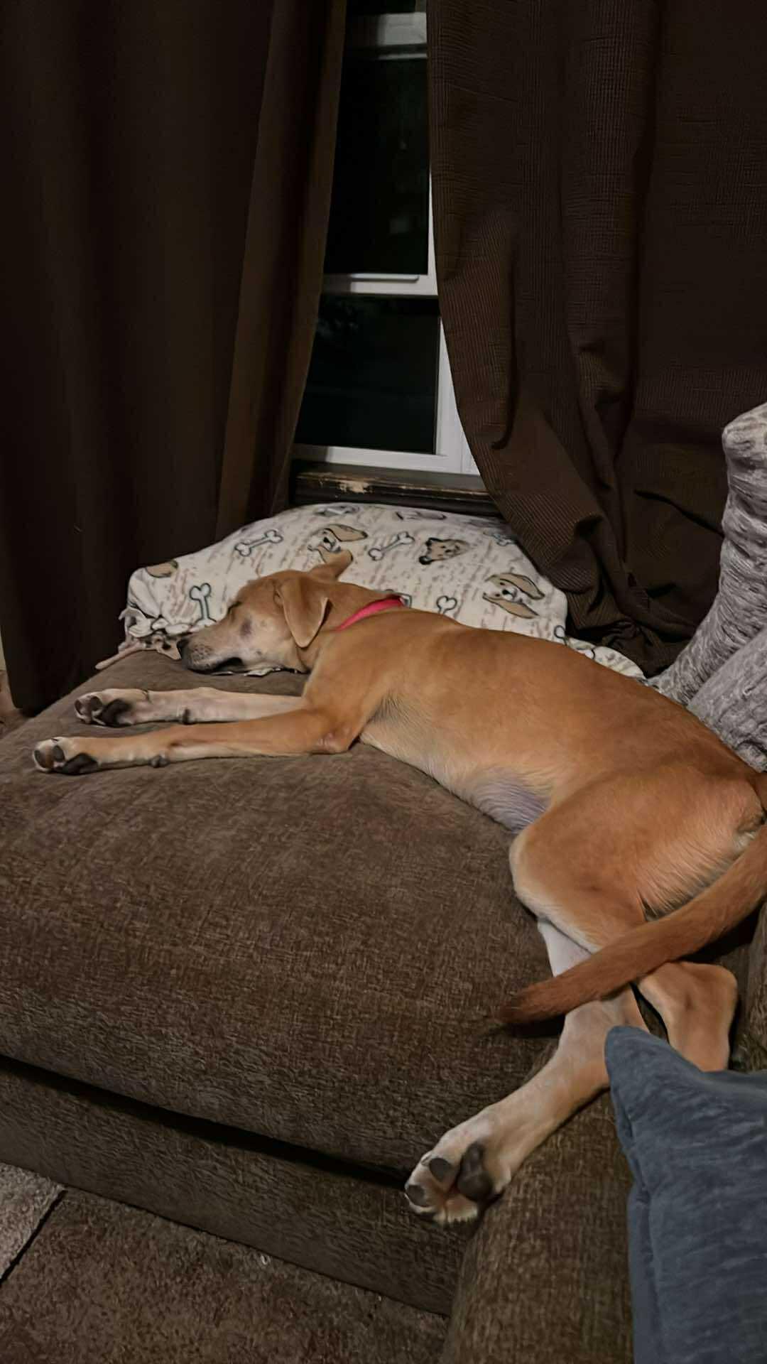 Odessa — thumbnail 2