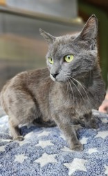 Fiona