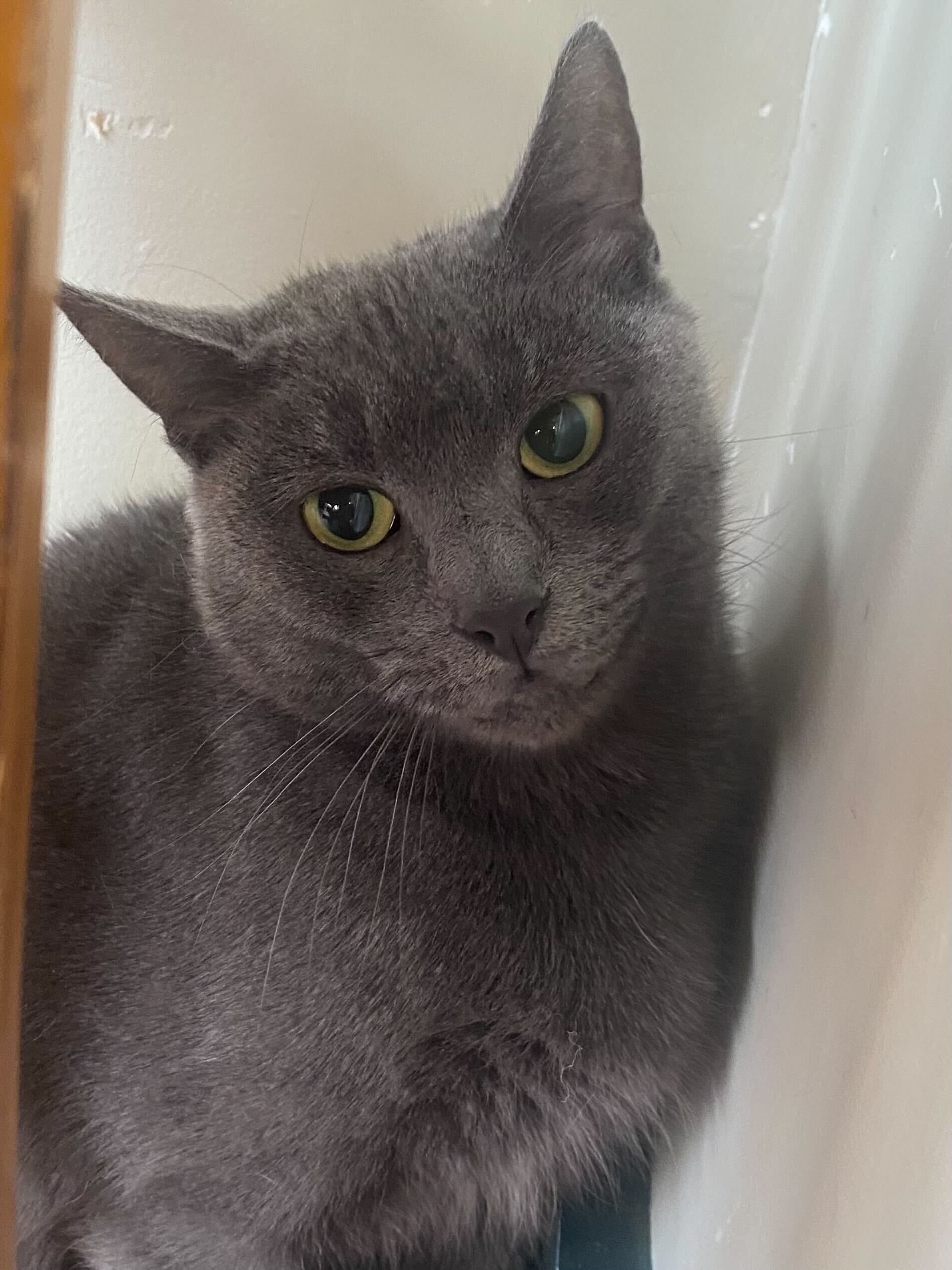 Fiona