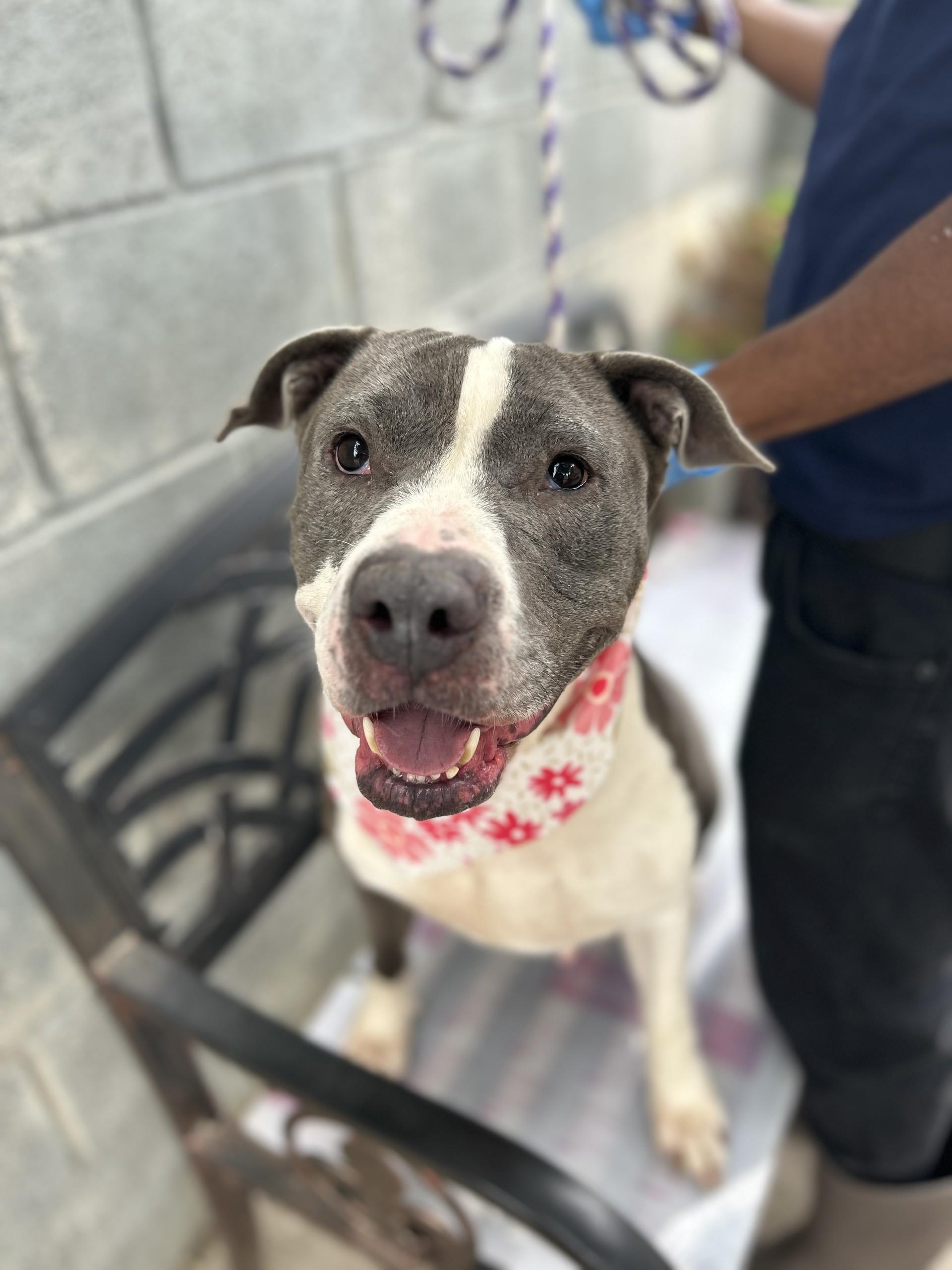 Gina