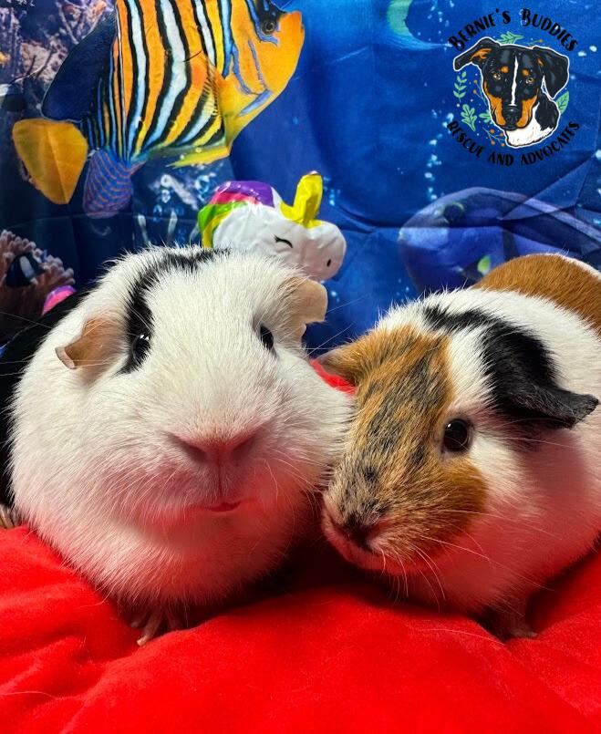 Kiki and Jasmine