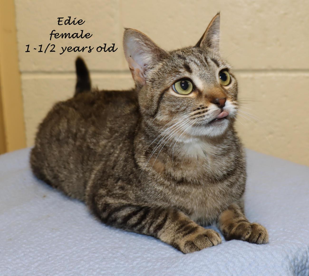 Edie