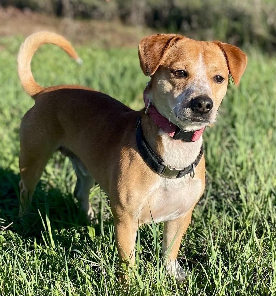 Buster — thumbnail 4