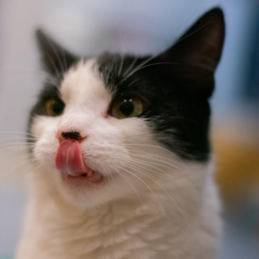 Smidgen — thumbnail 4