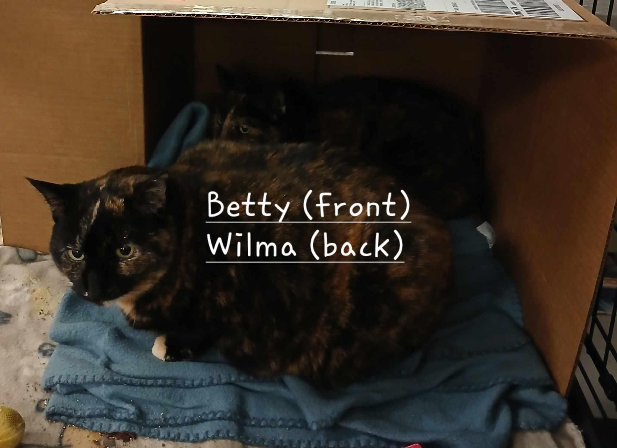 Wilma&Betty photo 2