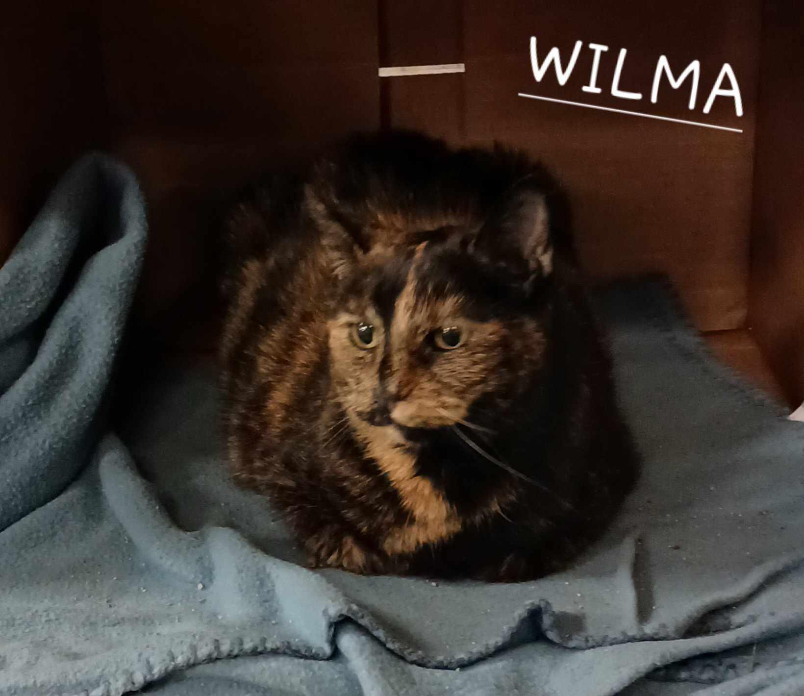 Wilma&Betty photo 3