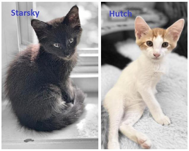 Hutch and Starsky (BONDED Brothers)
