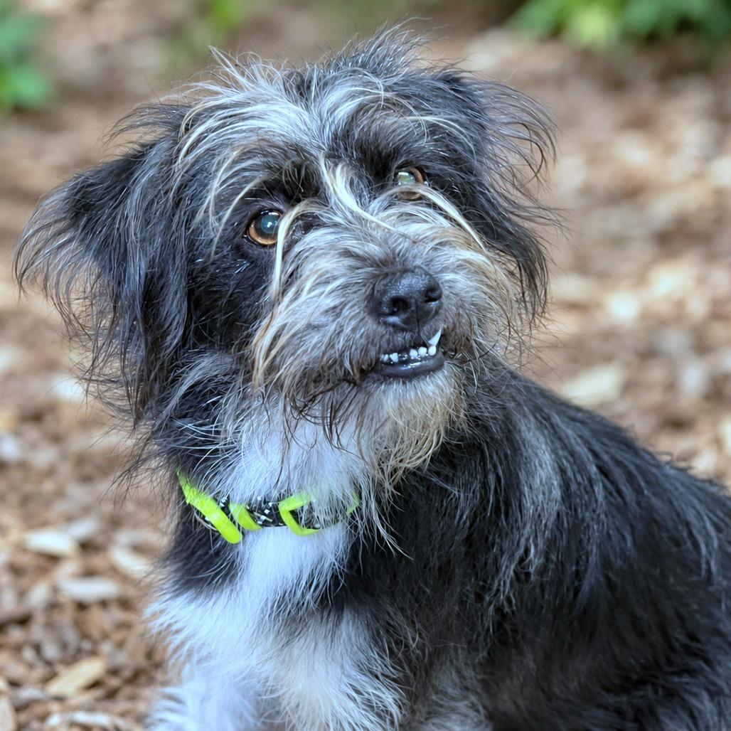 Bentley photo