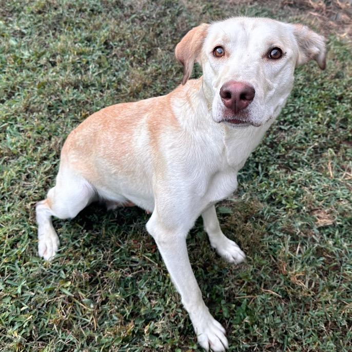 Taylor Sniff thumbnail 2