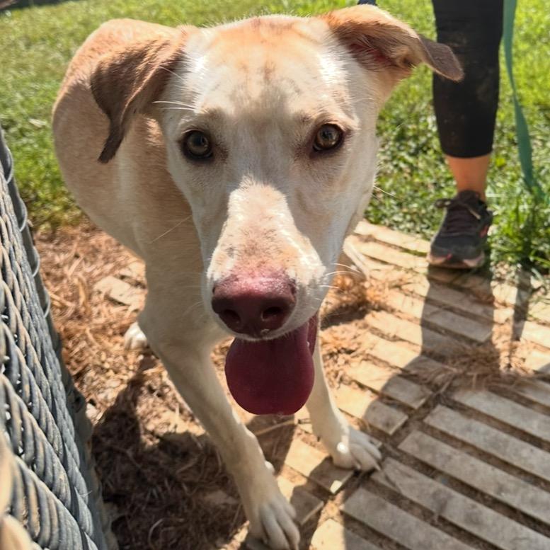 Taylor Sniff thumbnail 5