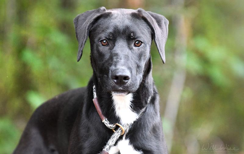 Geoffrey M thumbnail 3