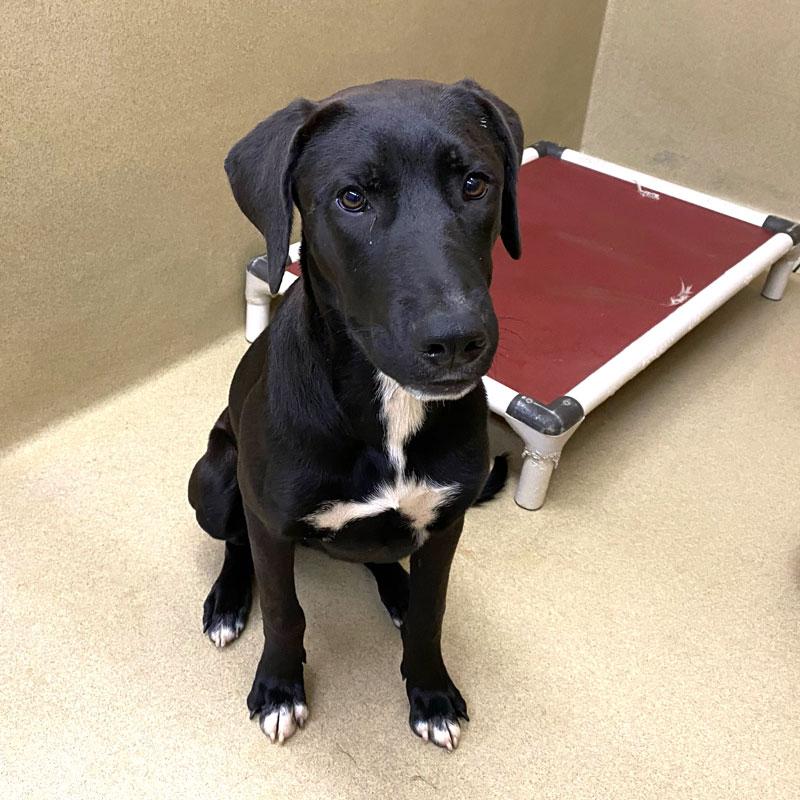 Geoffrey M thumbnail 2