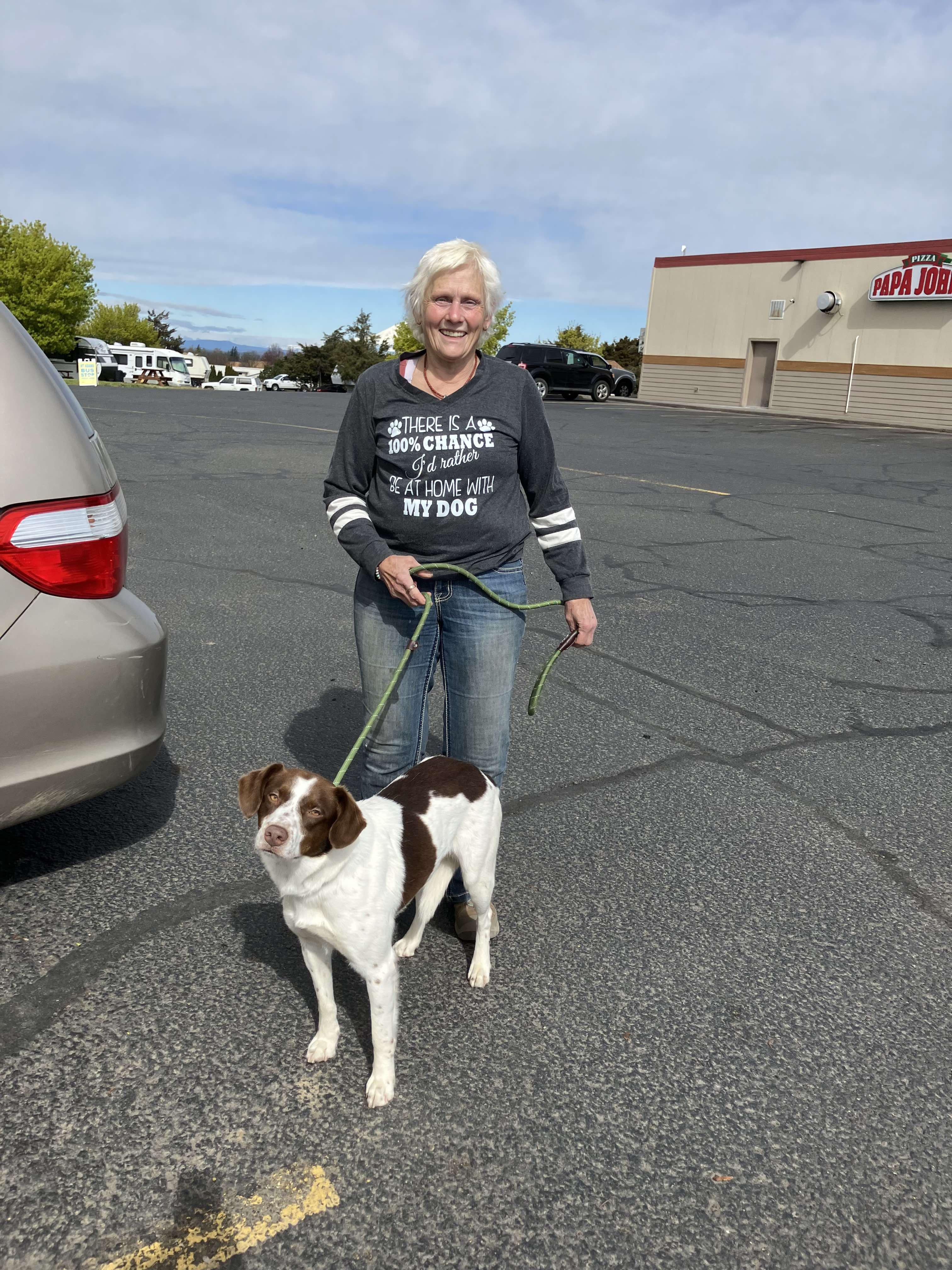 Henry, a Adopted mixed breed in Ellensburg, WA image 4/5