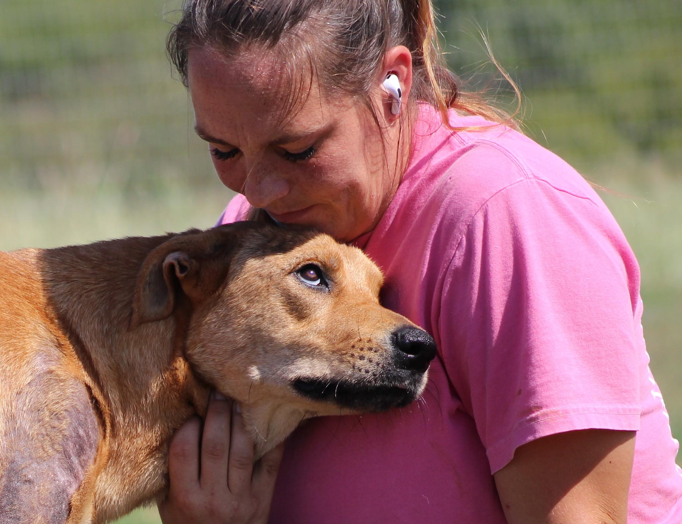 Enlarge Ember, a Adoptable mixed breed in Temple, TX image 4/6