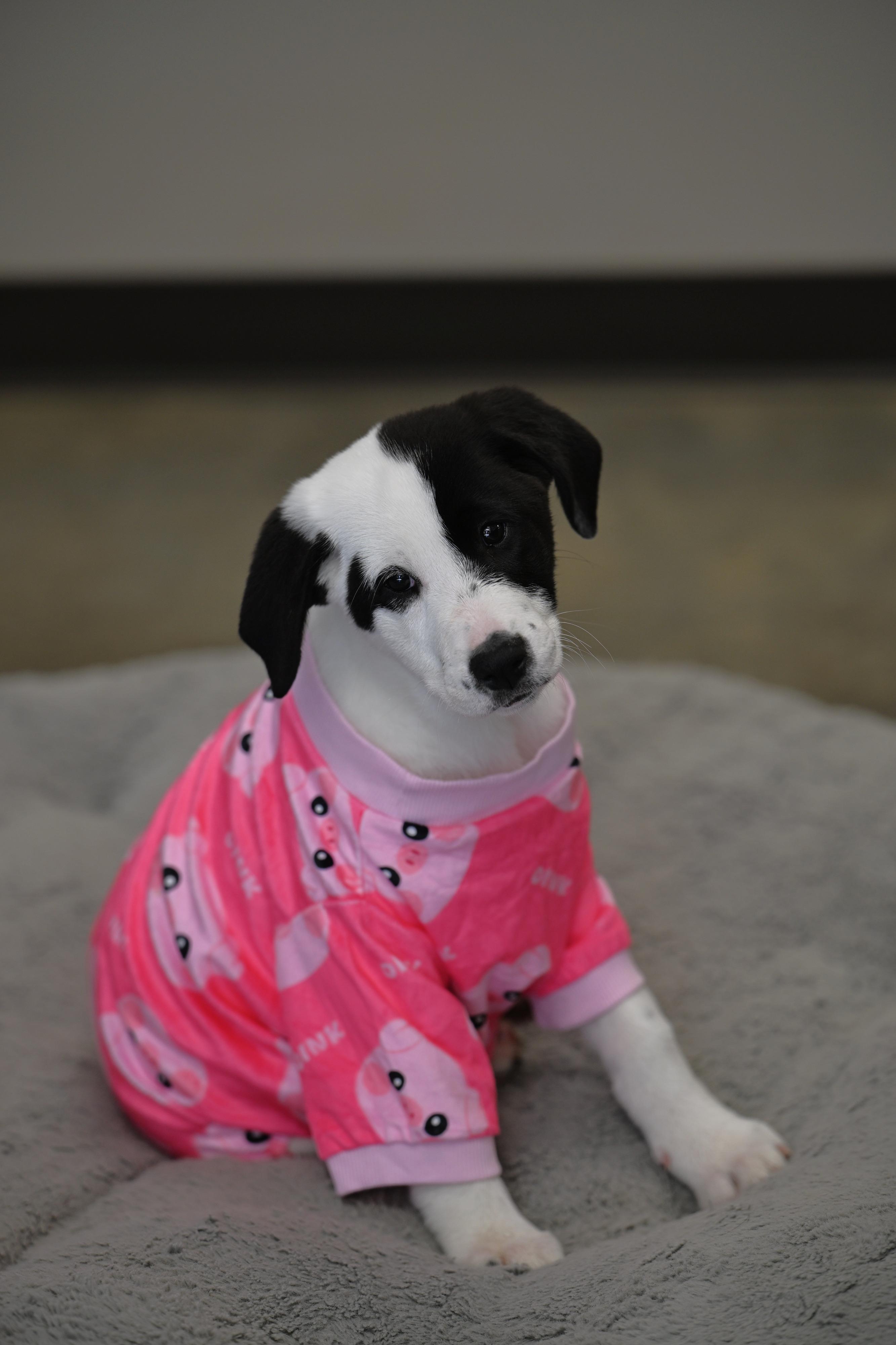 Bo Peep  Toy thumbnail 2