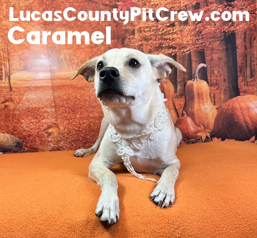Caramel