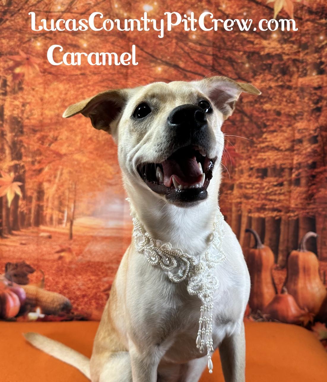Caramel