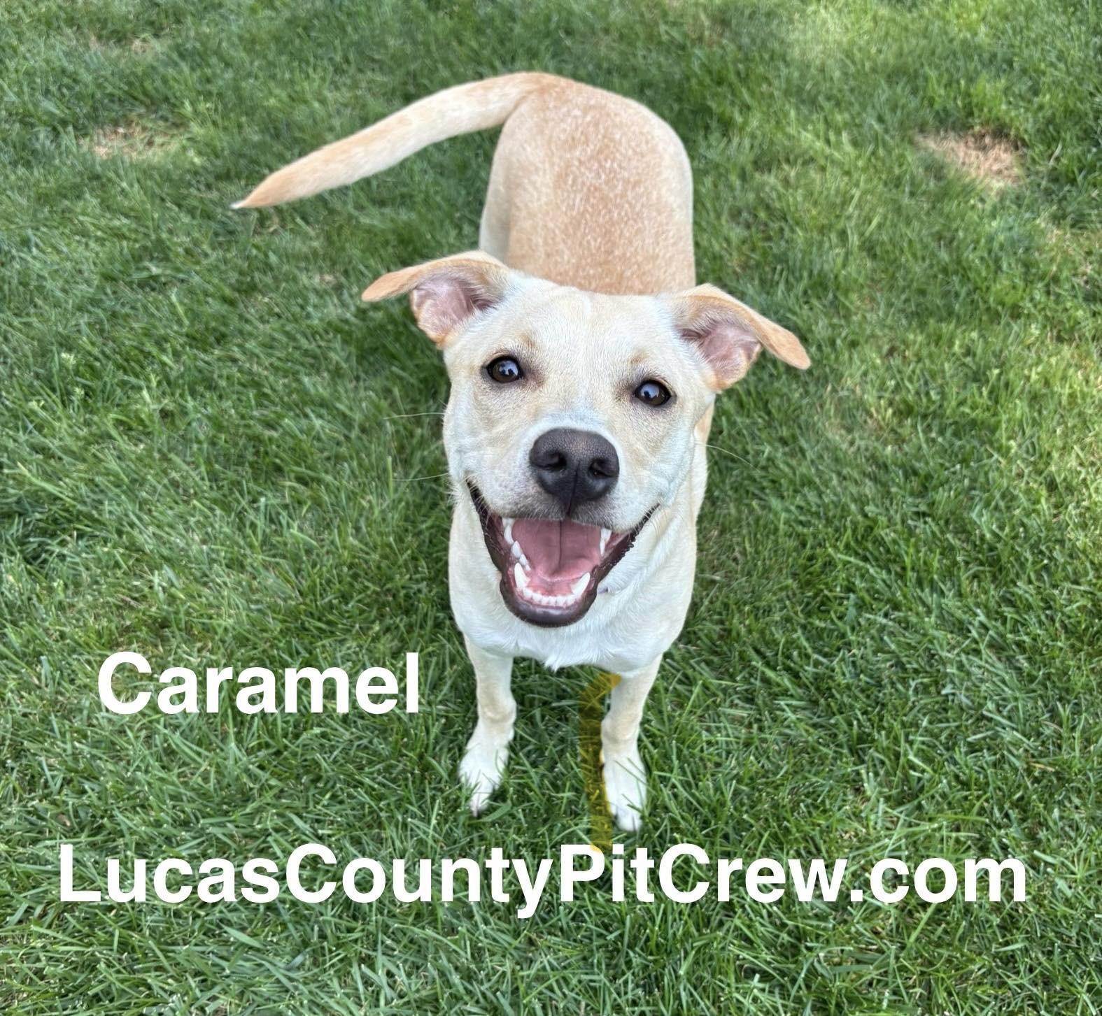 Caramel