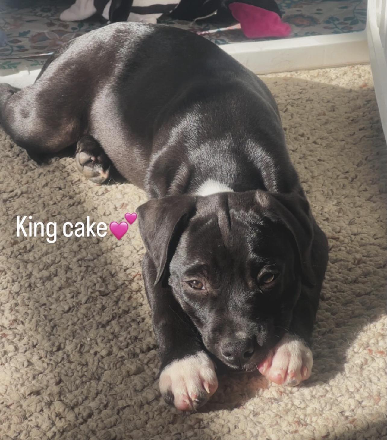 King Cake thumbnail 2
