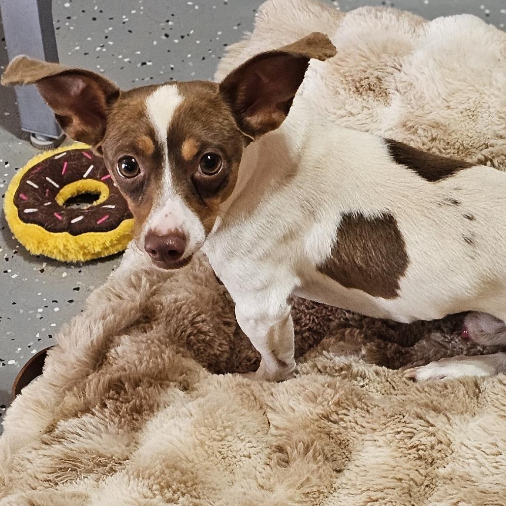 Riley — thumbnail 2