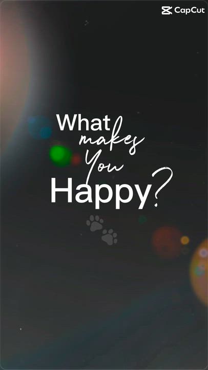 Enlarge Tutti, a ADOPTABLE mixed breed in Coconut Creek, FL video 5/5